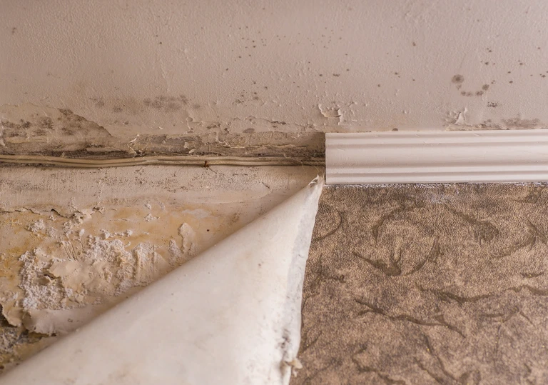 Zniszczona ściana przy podłodze