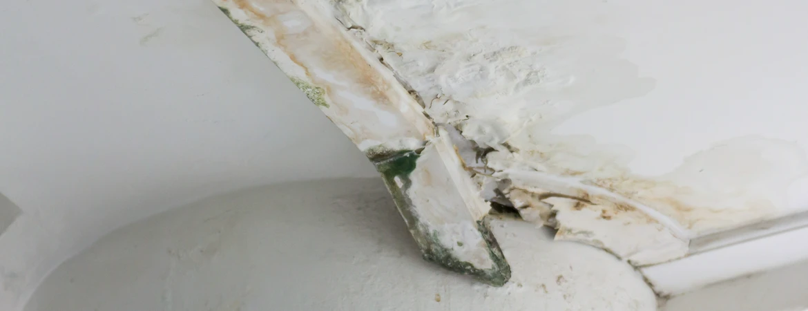 Zbliżenie na&nbsp;narożnik sufitu i&nbsp;ściany z&nbsp;ogromnymi zaciekami, grzybem i&nbsp;łuszczącą&nbsp;się farbą